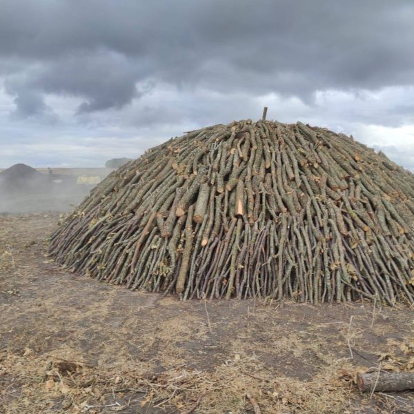 فحم نباتي تركي وكوبي لتجار الجملة .. جودة عالية وأسعار مناسبة