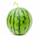 جبس