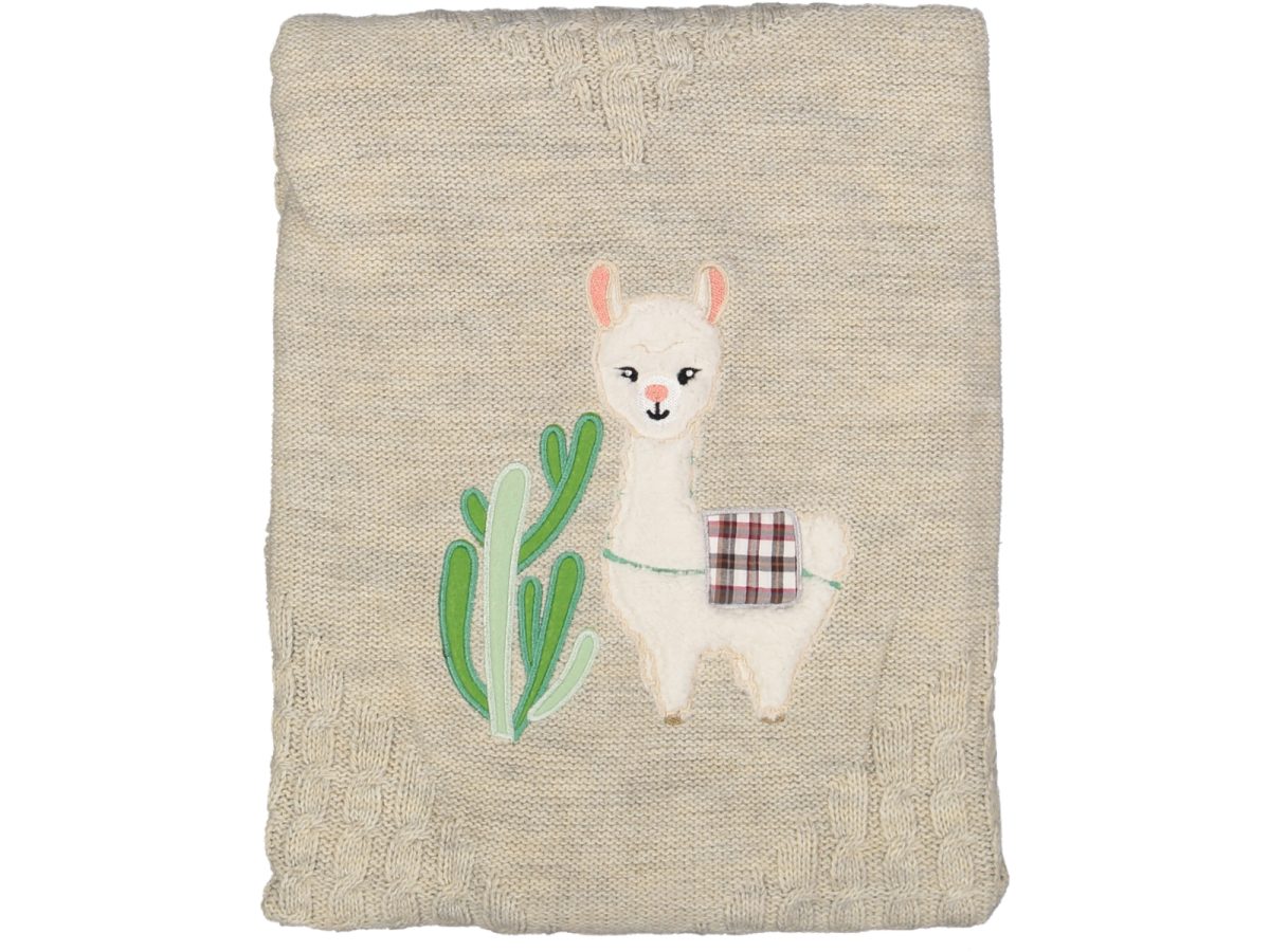 yeni doğan bebek battaniyesi - Görsel 4