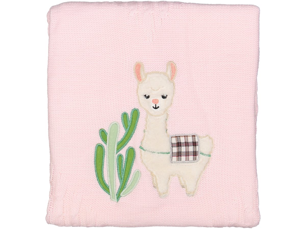 yeni doğan bebek battaniyesi - Görsel 5