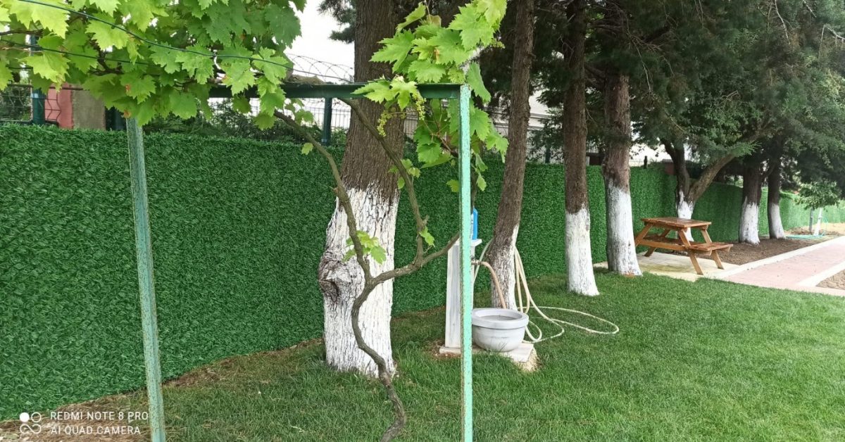 ⁦عشب صناعي ذات جودة عالية وغير قابل للاشتعال⁩ - الصورة ⁦7⁩