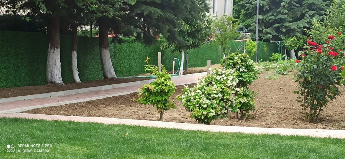 ⁦عشب صناعي ذات جودة عالية وغير قابل للاشتعال⁩ - الصورة ⁦8⁩