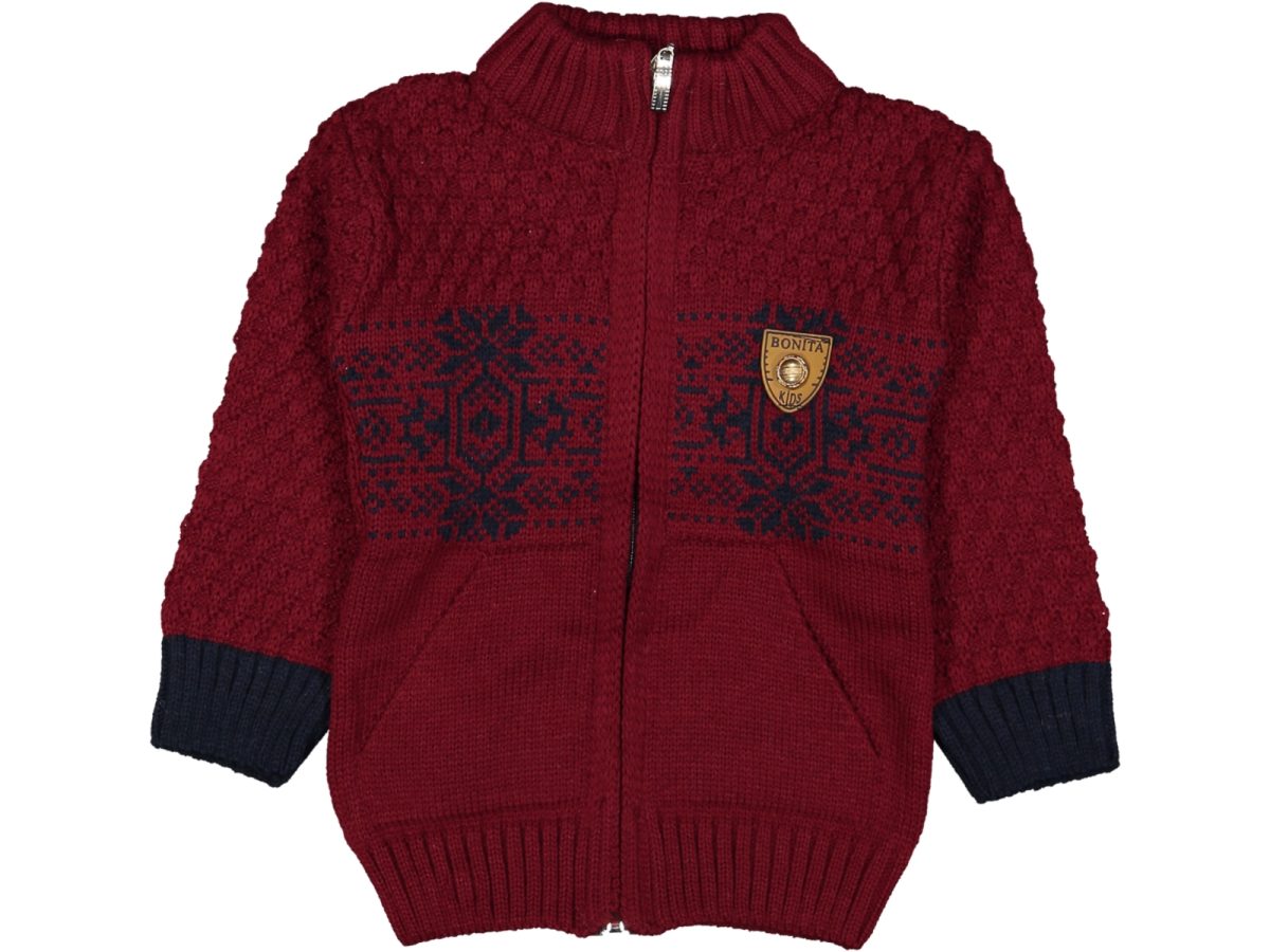 erkek ceketi - Görsel 6