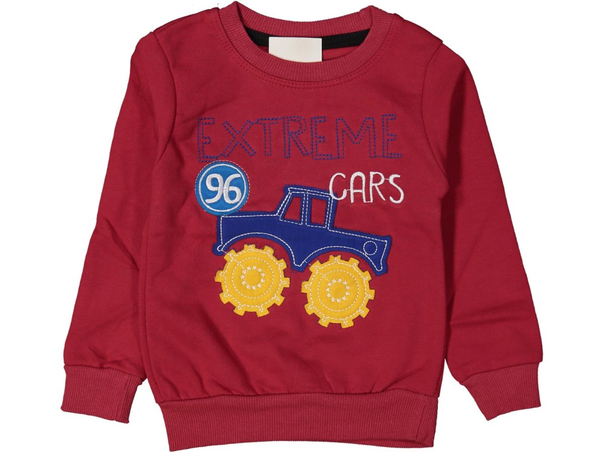 Erkek çocuk bluzu - Görsel 3