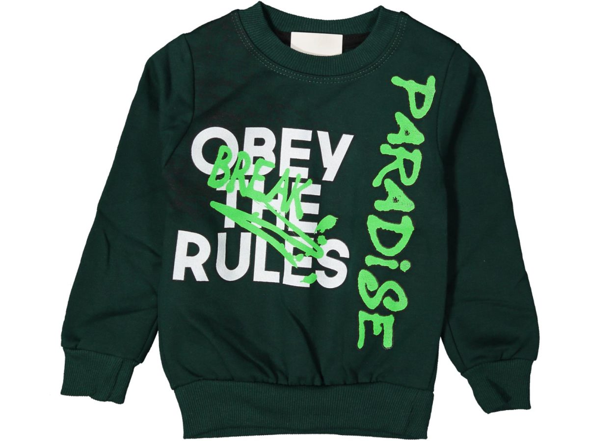 Erkek çocuk bluzu - Görsel 2