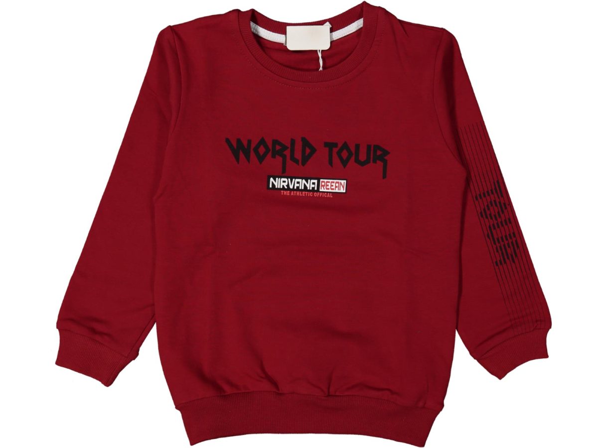 Erkek çocuk bluzu - Görsel 5