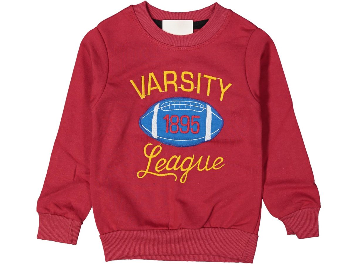 Erkek çocuk bluzu - Görsel 5