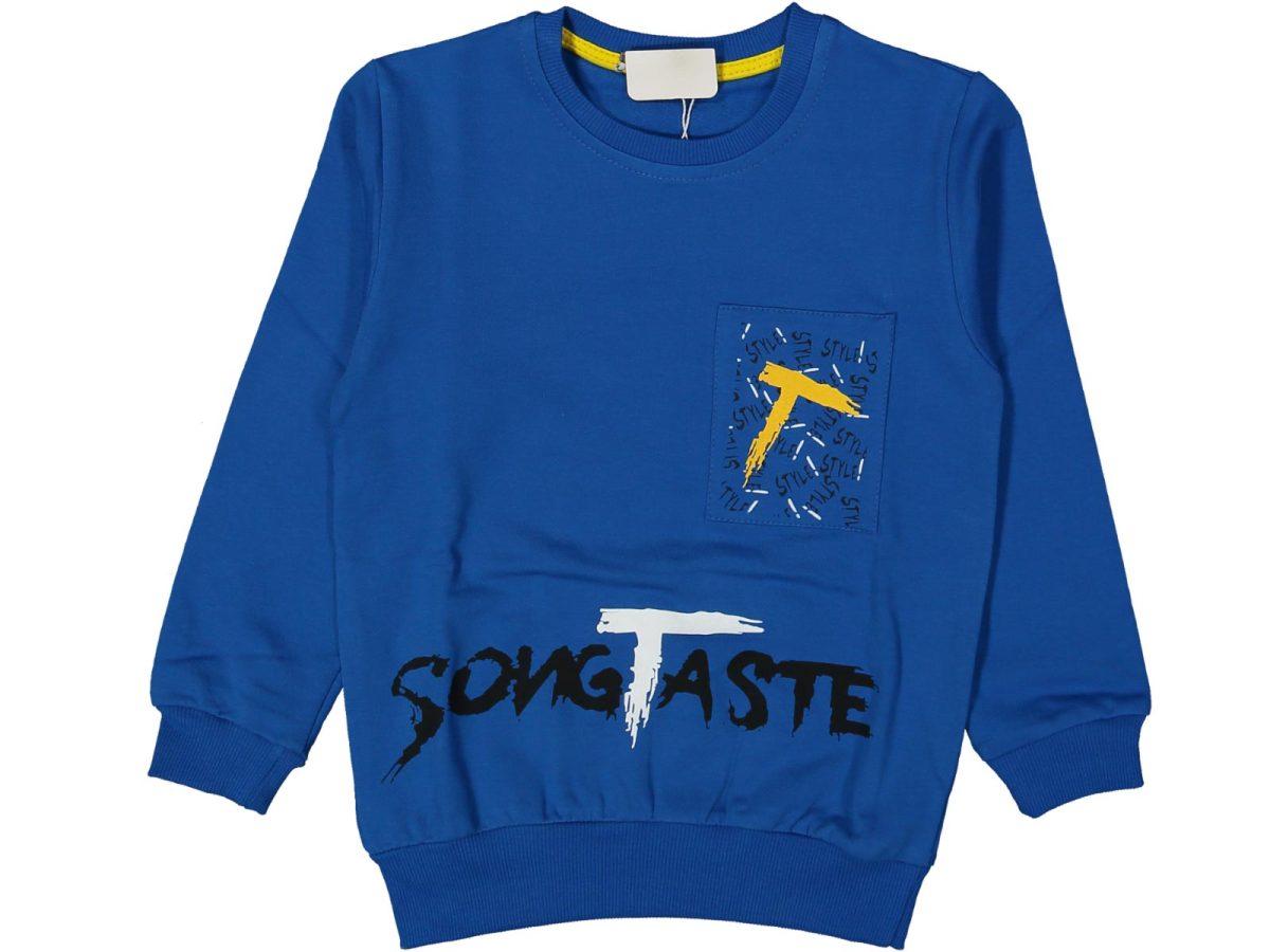 Erkek çocuk bluzu - Görsel 3