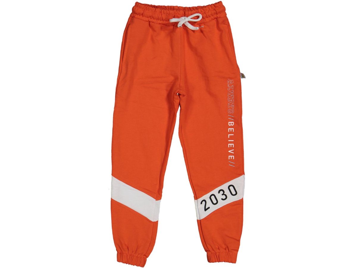 Kız çocuk sweatshirt - Görsel 4