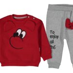 مجموعة الصبي