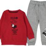 مجموعة الصبي