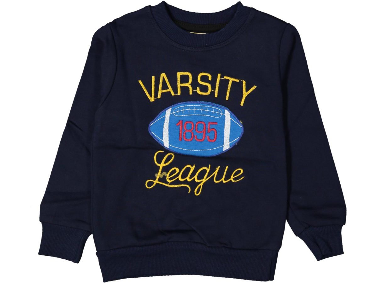 Erkek çocuk bluzu - Görsel 2