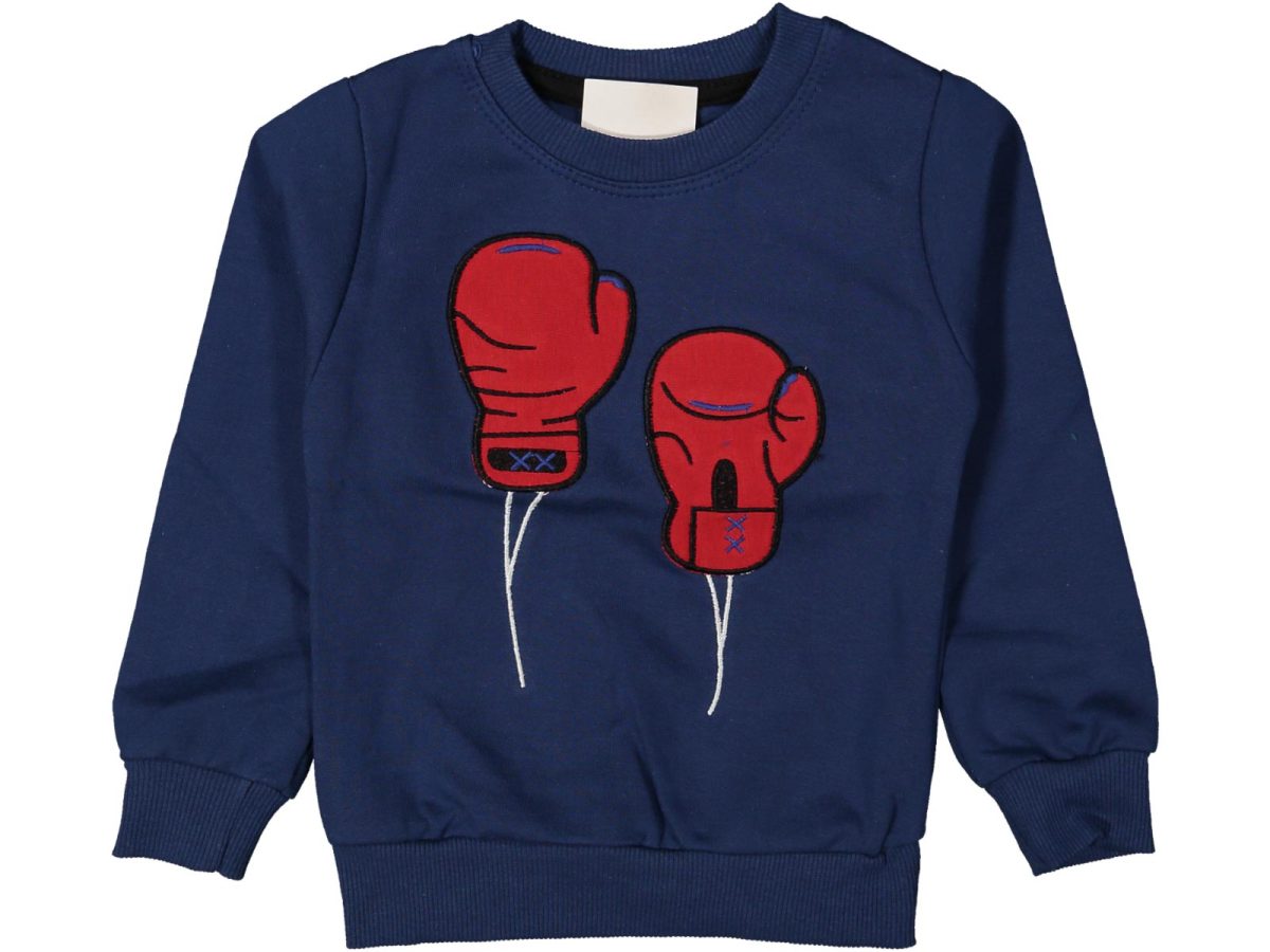 Erkek çocuk bluzu - Görsel 2