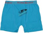 Children's Underwear - Training Underpants - Image 2