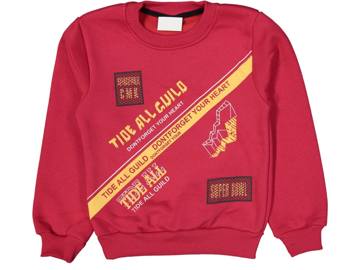 Erkek çocuk bluzu - Görsel 2