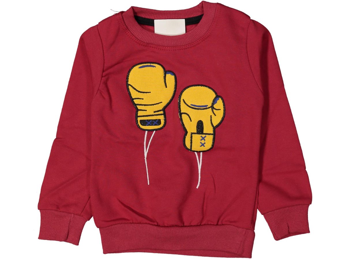 Erkek çocuk bluzu - Görsel 3