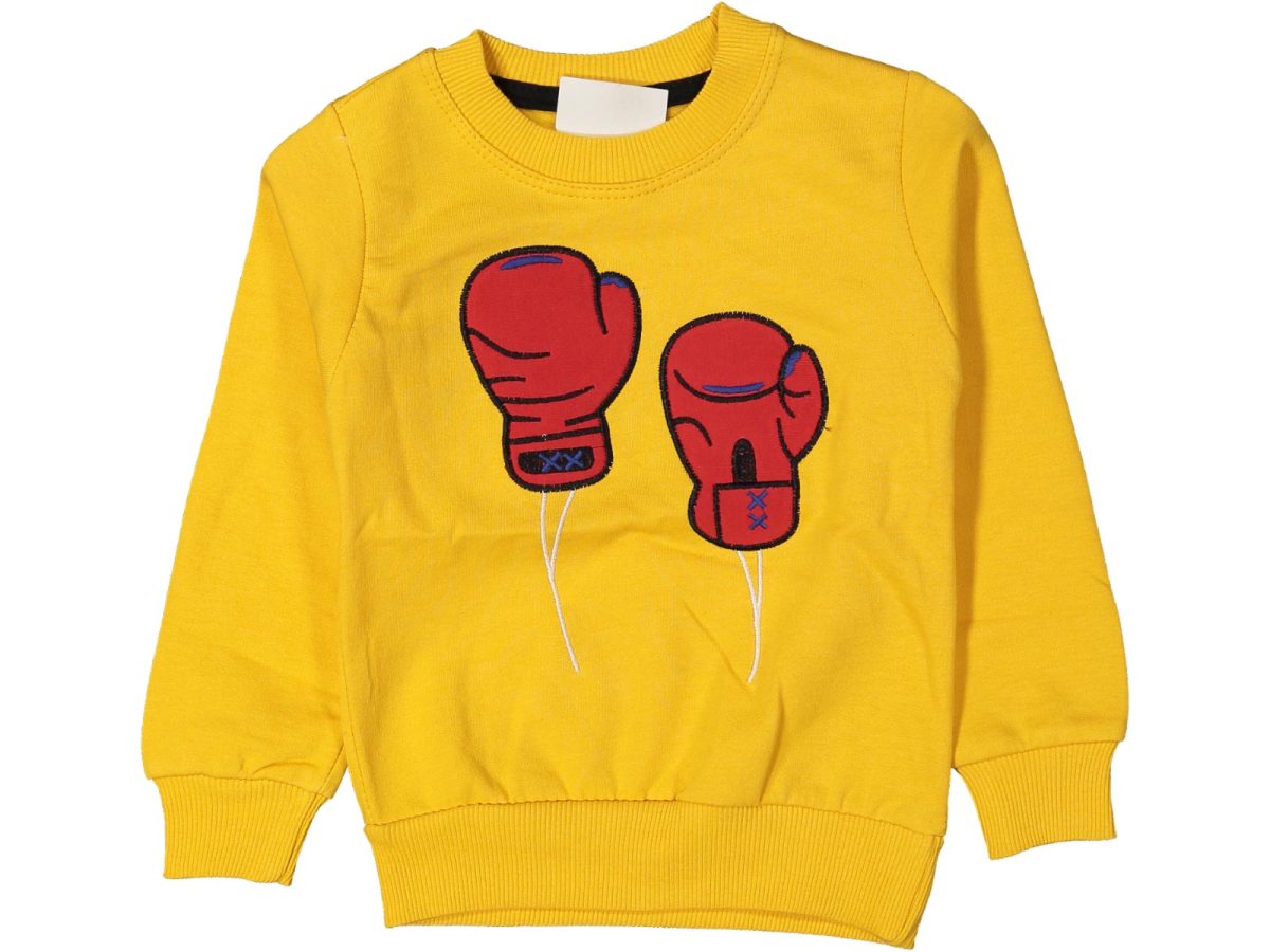 Erkek çocuk bluzu - Görsel 4