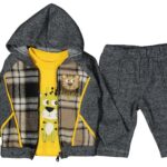 مجموعة الصبي