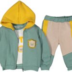 مجموعة الصبي