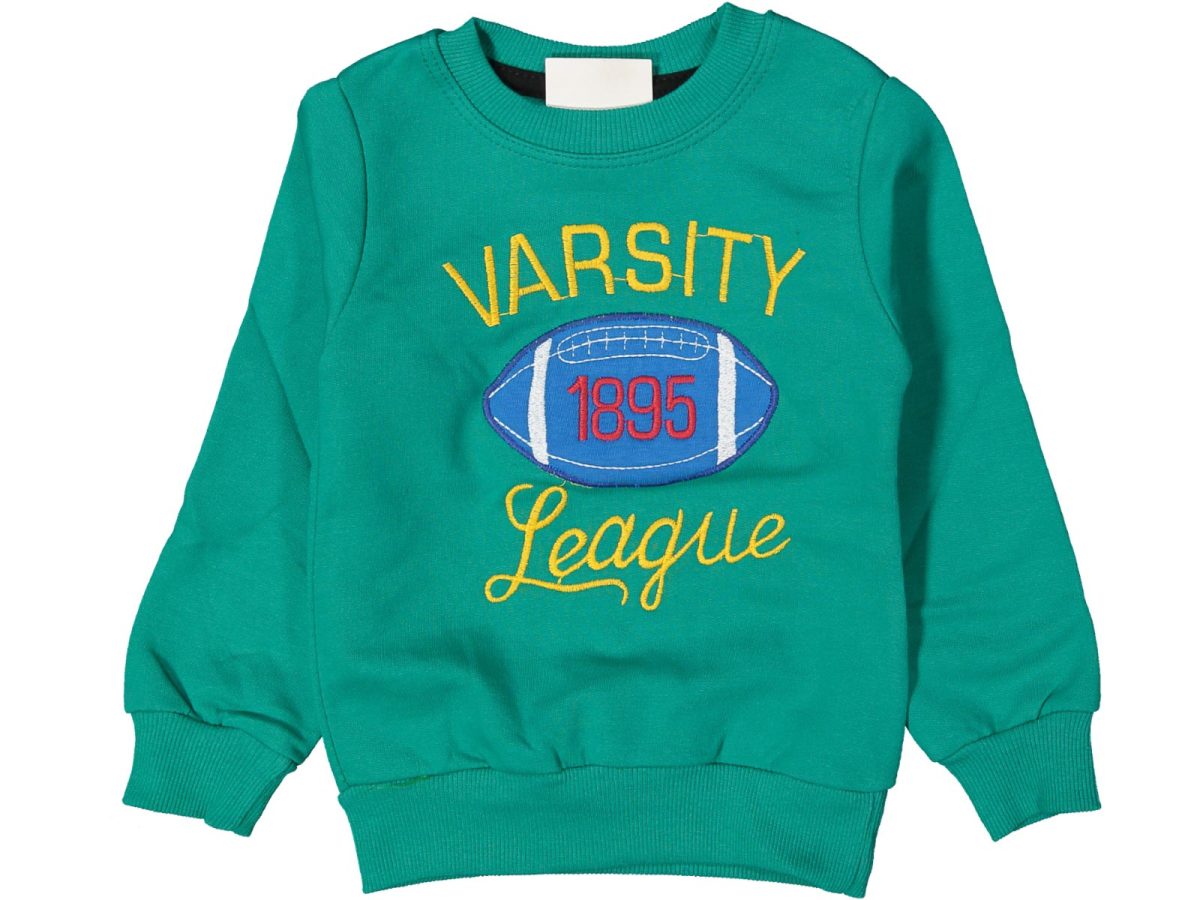 Erkek çocuk bluzu - Görsel 3