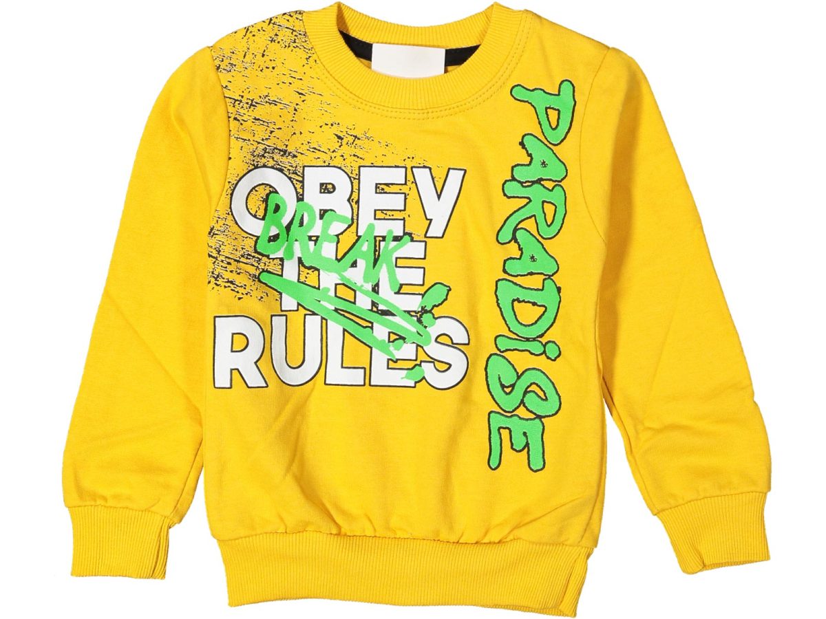 Erkek çocuk bluzu - Görsel 3