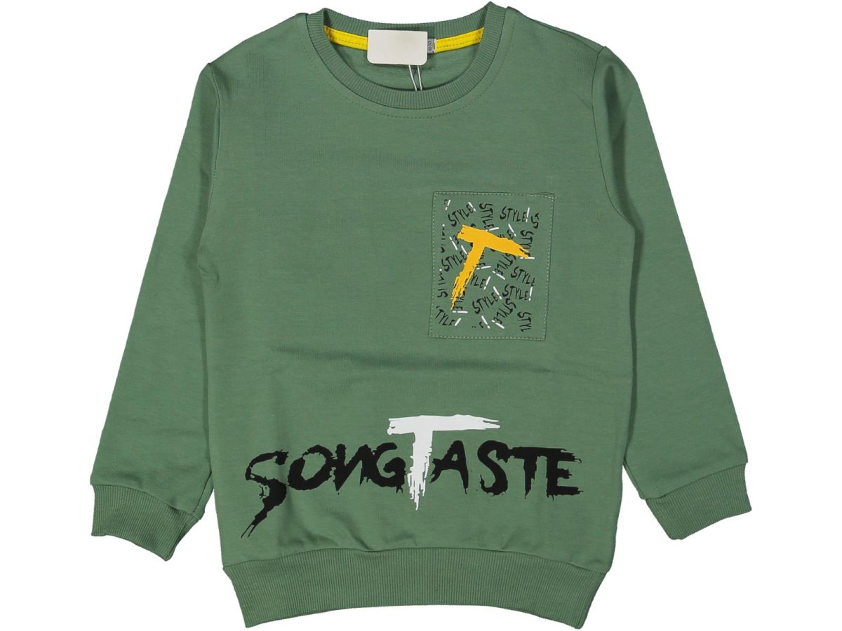 Erkek çocuk bluzu - Görsel 2