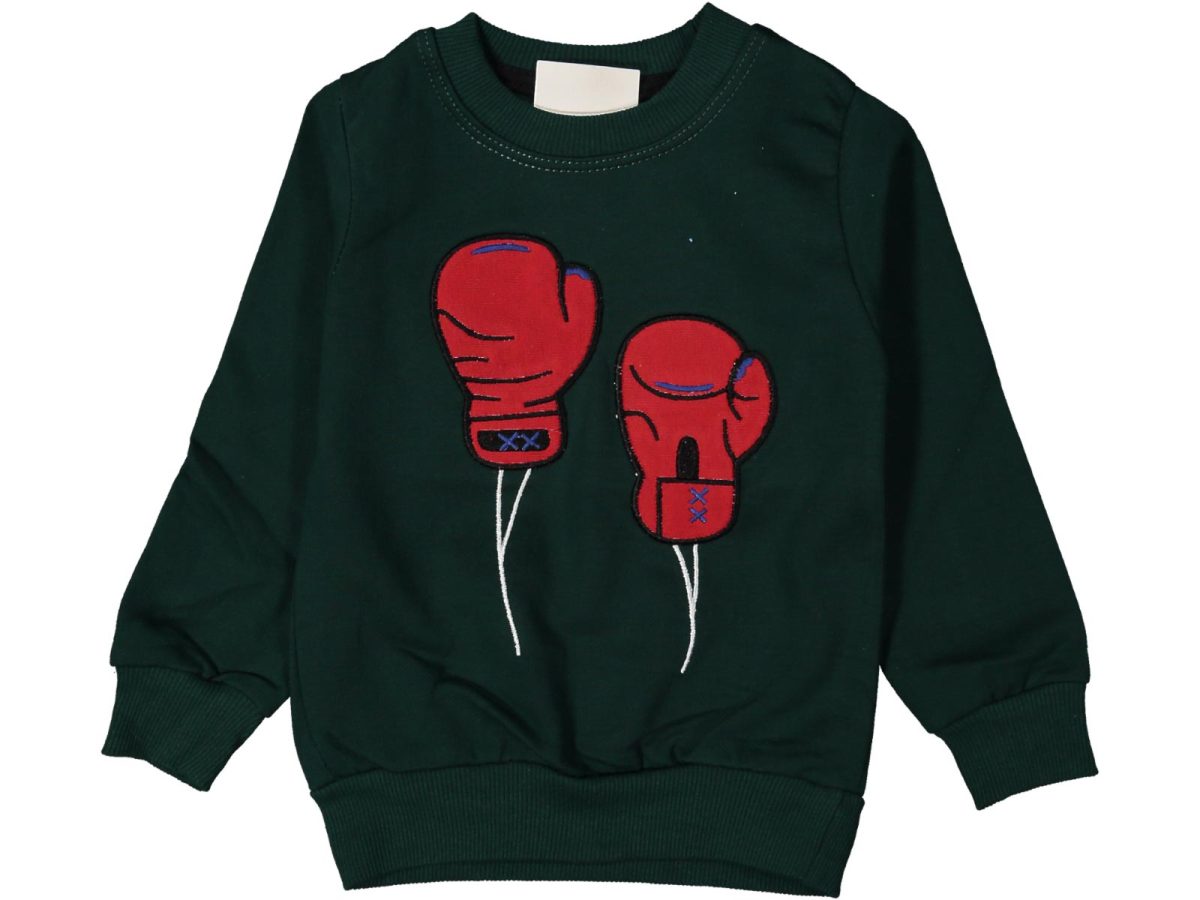 Erkek çocuk bluzu - Görsel 5