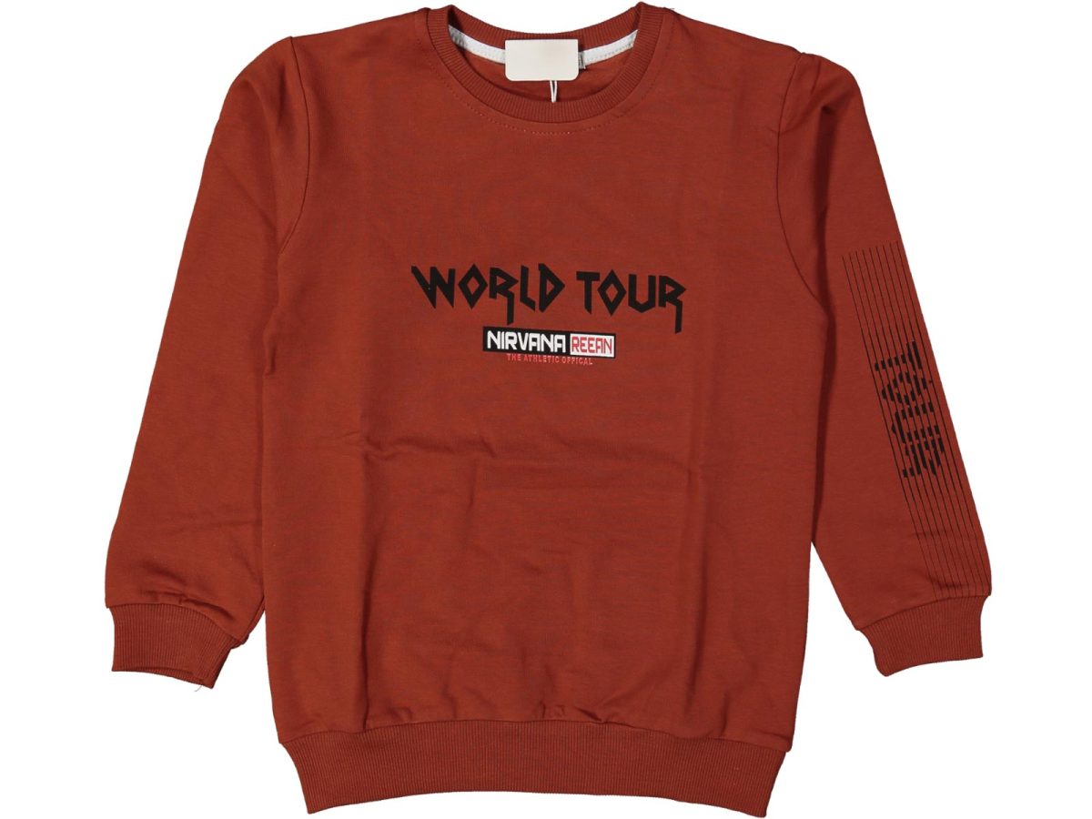 Erkek çocuk bluzu - Görsel 2