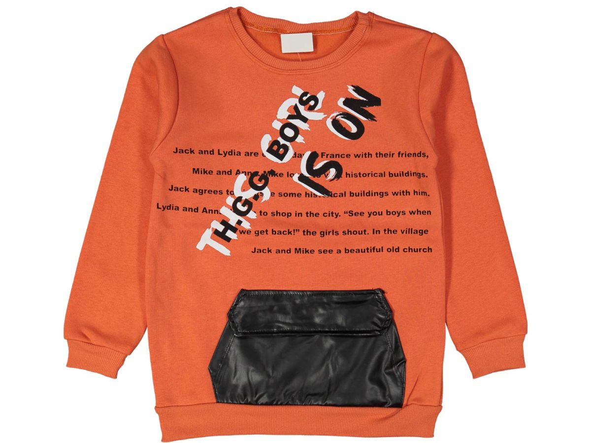 Erkek çocuk bluzu - Görsel 3