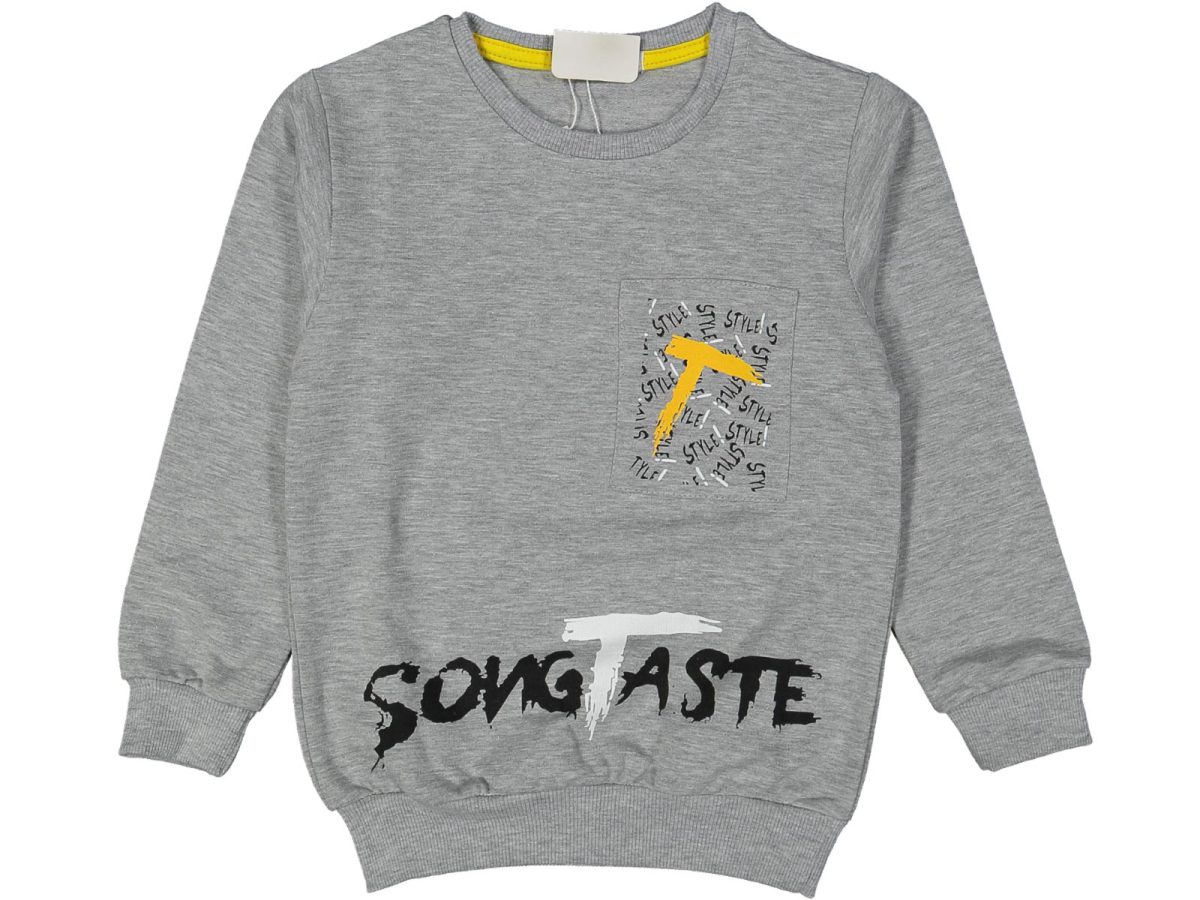 Erkek çocuk bluzu - Görsel 4