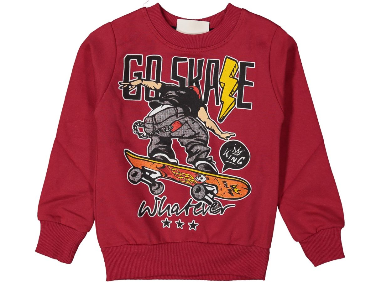 Erkek çocuk bluzu - Görsel 5