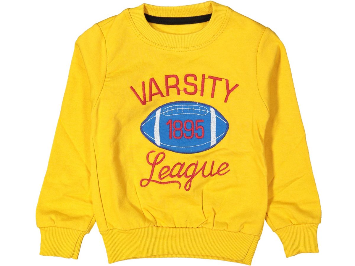 Erkek çocuk bluzu - Görsel 7