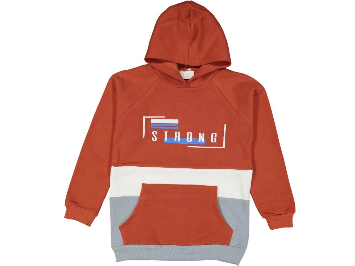 Erkek çocuk bluzu - Görsel 4