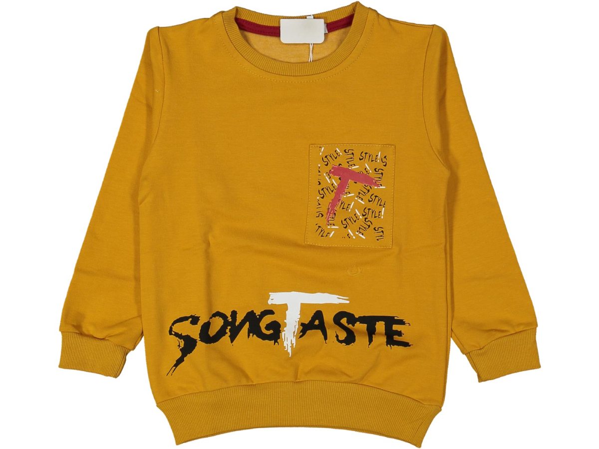 Erkek çocuk bluzu - Görsel 5