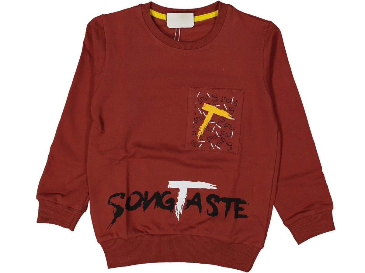 Erkek çocuk bluzu - Görsel 6