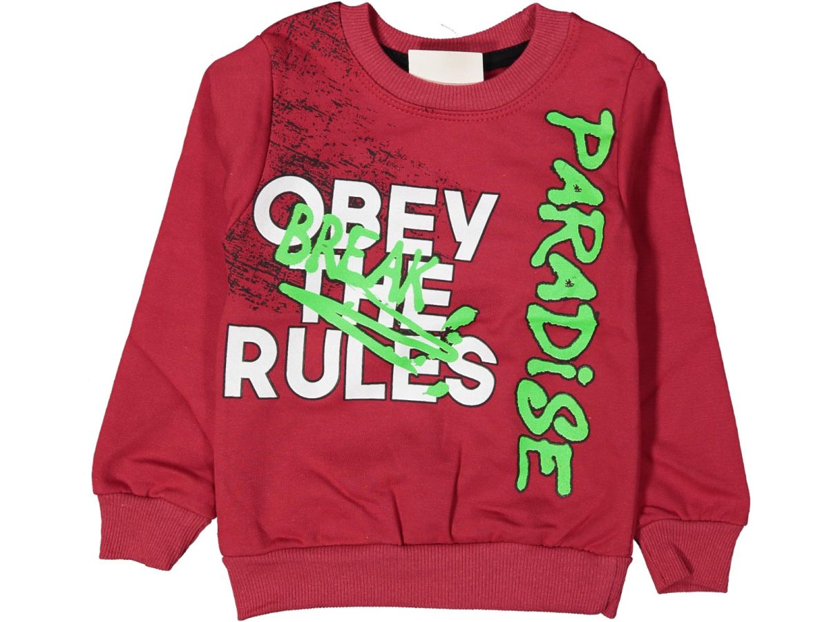 Erkek çocuk bluzu - Görsel 8