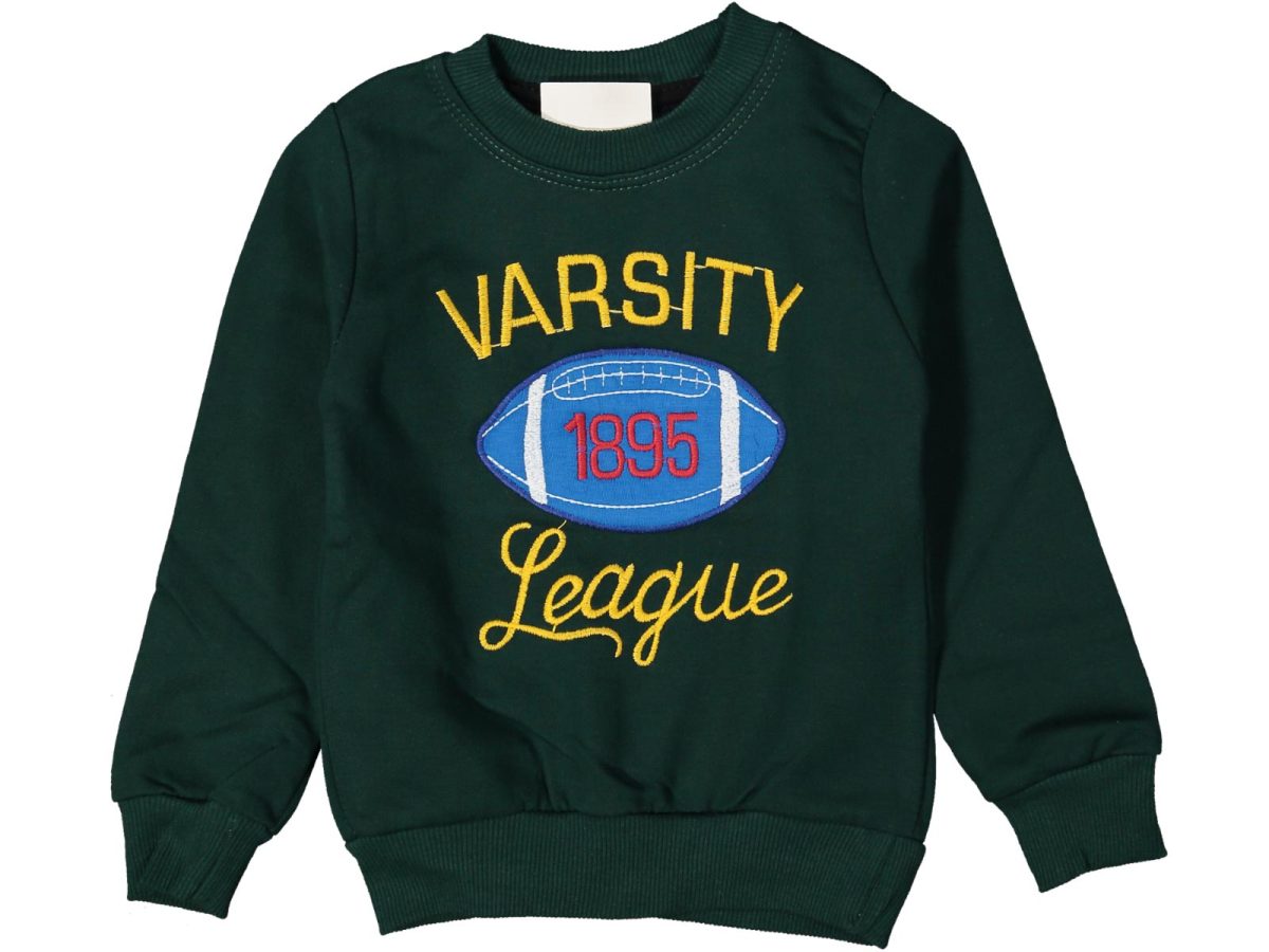 Erkek çocuk bluzu - Görsel 8