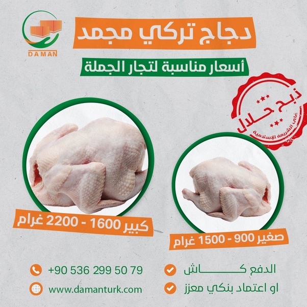 دجاج تركي مجمد بالجملة (ذبح حلال100%) 2 image