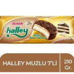 HALLEY64f9733ba4a1a 1
