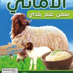 سمن بلدي: سمنة عربية طبيعية وصحية 100% لتغليف(تنك): متوفرة بأحجام مختلفة: 16 كغ، 10 كغ، 5 كغ. المحتويات الغذائية: السعرات الحرارية: 150 سعرة حرارية الدهون الكلية: 7 غرام (0%) الدهون المشبعة: 1.8 غرام (1.8%) الكوليسترول: 0 ملغ (0%) الصوديوم: 355 ملغ (14%) الكربوهيدرات: 17 غرام (6%) الألياف الغذائية: 2.2 غرام (5%) السكريات: 13 غرام البروتين: 2.9 غرام الكالسيوم: 0.1% الحديد: 8% فيتامين أ: 0% فيتامين ج: 8% أقل كمية للطلب هي حاوية