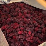 IMG 20241105 WA0010 1