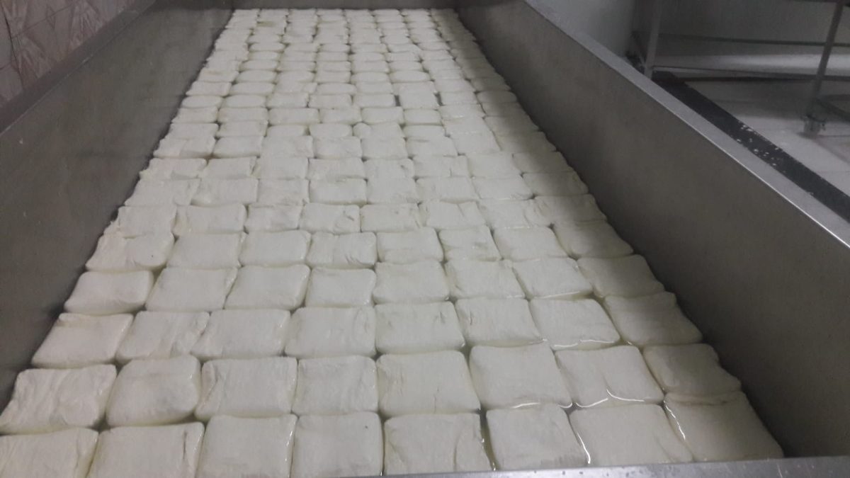 جبنة تركية بالجملة