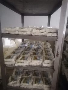 شراء جبنة تركية بالجملة