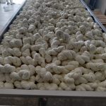 صورة واتساب بتاريخ 2024 11 09 في 07.32.09 ccf6e010 1