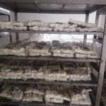 جبنة تركية بالجملة مغلفة