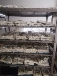 جبنة تركية بالجملة مغلفة