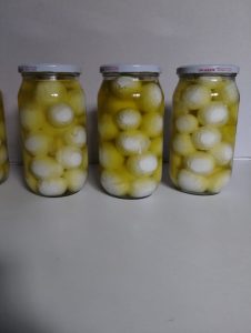 لبنة