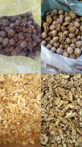 مختلف أنواع جوز سوري بالجملة - مكسرات عالية الجودة لتجار الجملة والموردين