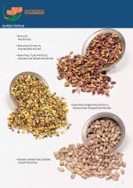 الفستق الحلبي السوري والمكسرات التركية الفاخرة اكتشف أفخر أنواع الفستق الحلبي السوري والمكسرات التركية بجودة استثنائية من ضمان تورك! نقدم لك تشكيلة واسعة من الفستق الحلبي السوري، البندق، اللوز، الجوز، جميعها طازجة ومعبأة بعناية لتصل إليك بالصورة المثالية للاستهلاك المحلي أو التجاري. استمتع بمذاق غني وجودة لا تُضاهى، مع خدمات شحن سريعة إلى جميع أنحاء العالم.