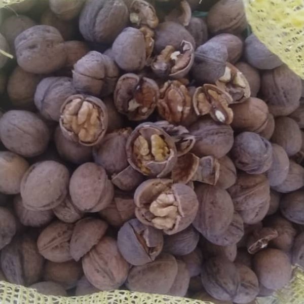 الجوز السوري: شراكة موثوقة لتجار الجملة الباحثين عن أفضل مصادر الاستيراد